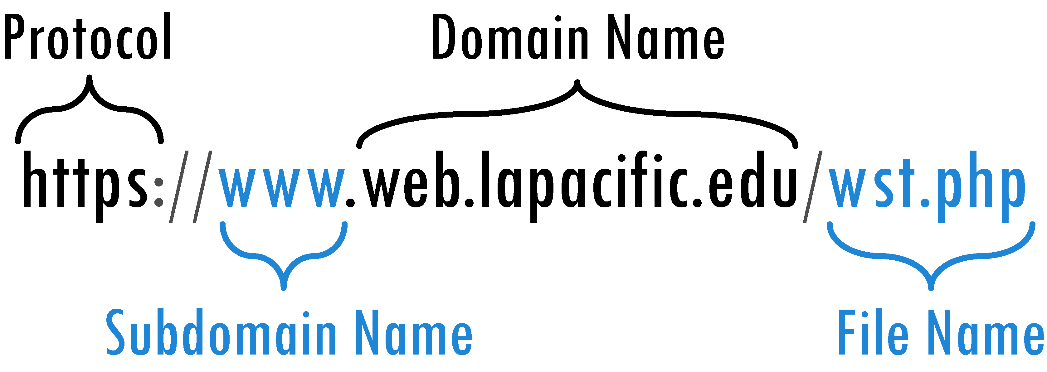 url components breakdown